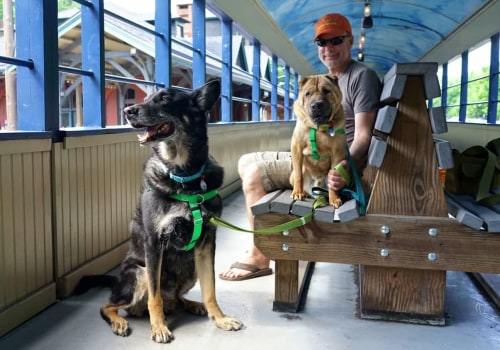 Are Pets Allowed on Trains in Austin, Texas?
